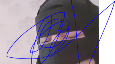 معلومات عن اميرة الحربي ام عمر ويكيبيديا السيرة الذاتية