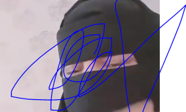 معلومات عن اميرة الحربي ام عمر ويكيبيديا السيرة الذاتية