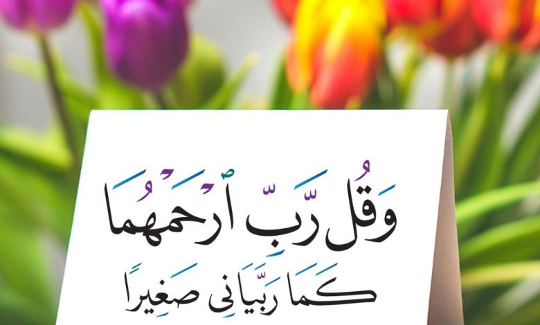 ايات قرآنية عن بر الوالدين