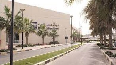 ما هي شروط التحويل الداخلي في جامعة الكويت 2023 / 2024